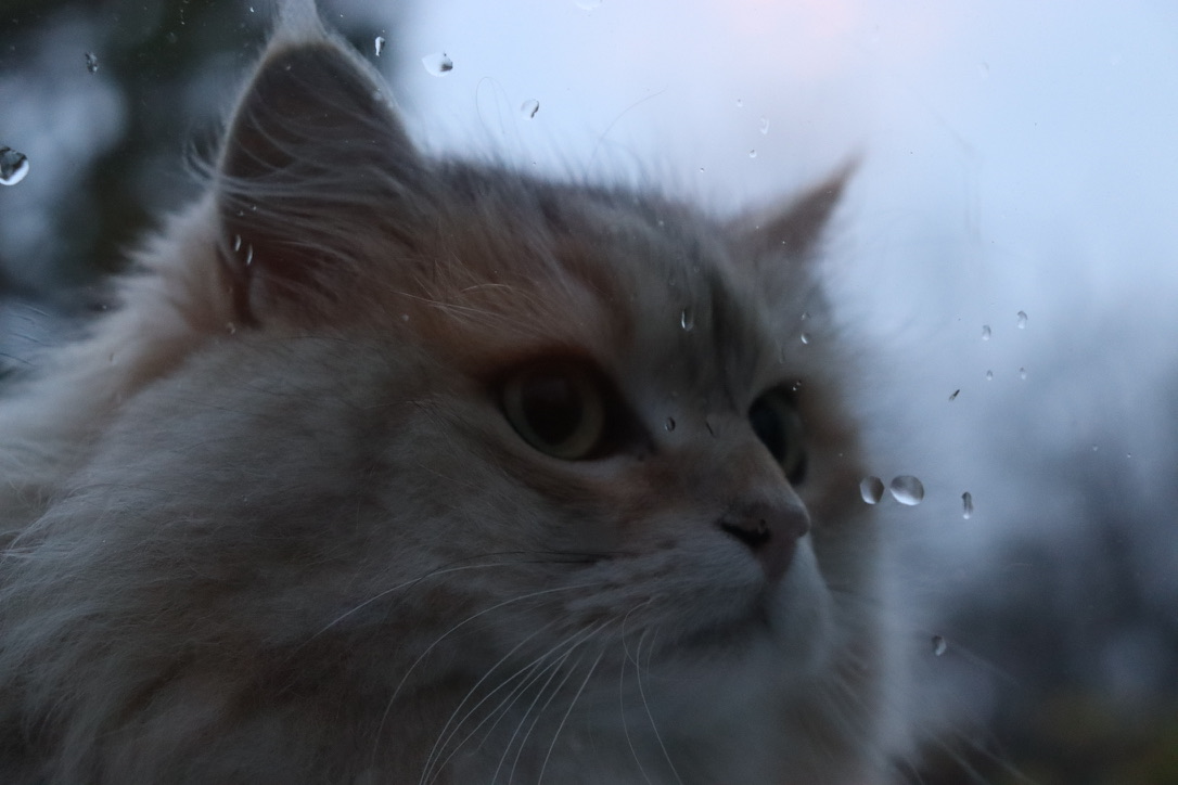 PLACEHOLDER: Day 3 image